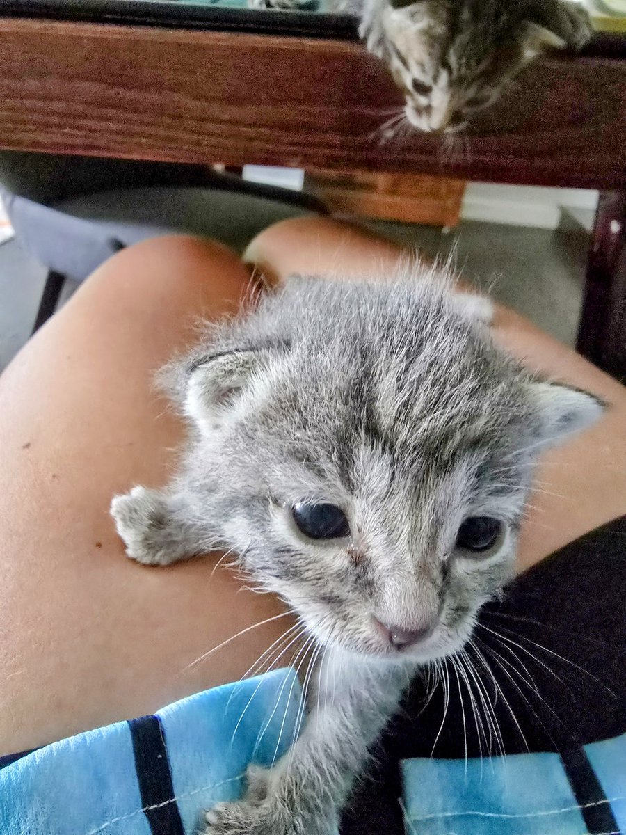 Andrea Burkhart 🐟🐟🐟🐟🏴‍☠️ tweet media