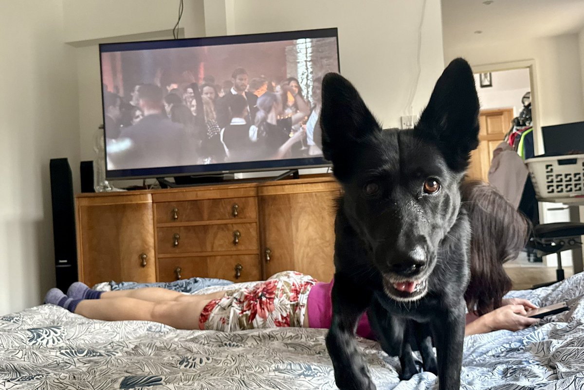 A great watch <a href="/JackCarrUSA/">Jack Carr</a> the #Dark_Wolf is amazing - watched my Dark wolf too <a href="/TerminalListPV/">The Terminal List</a>