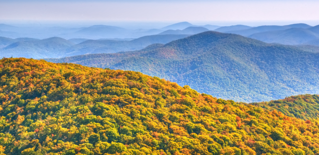 Escape the city and find your autumn bliss! 🍂 Just a short drive from Atlanta, the North Georgia Mountains are calling for the perfect family getaway. 

Make some memories this fall in the North Georgia Mountains: atlantarealestateforum.com/fall-itinerary…