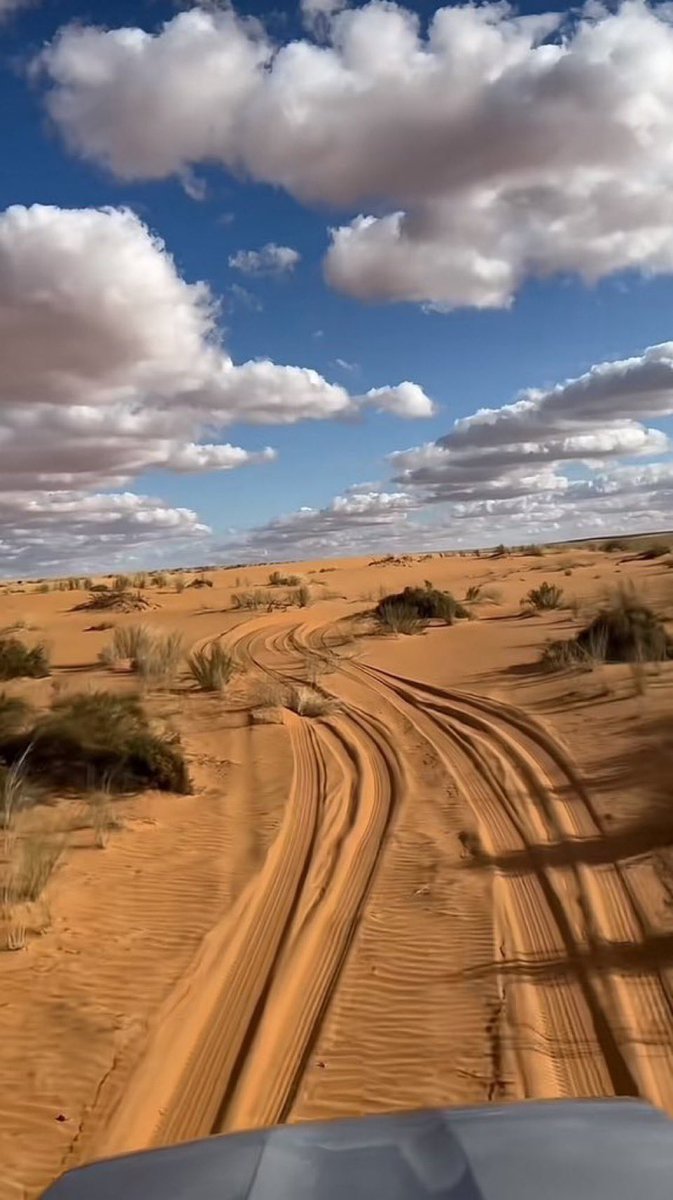 نايف بن فلاج tweet media