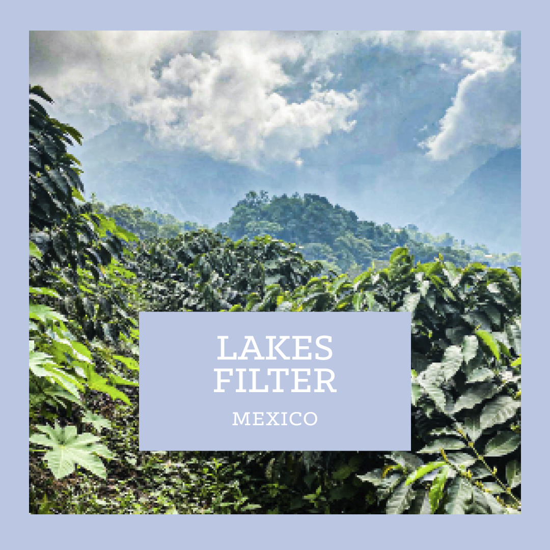 Our current filter coffees include...

Karinga AB featuring wild berries and cherries. Nkara has a floral tone, prune flavours and a brown sugar sweetness. And Lakes Filter brings dried fruit and nut.

Get them here
carvetiicoffee.co.uk/collections/fi…

#coffee #filtercoffee #coffeecollection