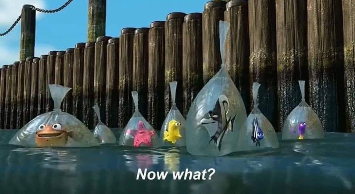 spitter today after waiting 3 days for starship to launch