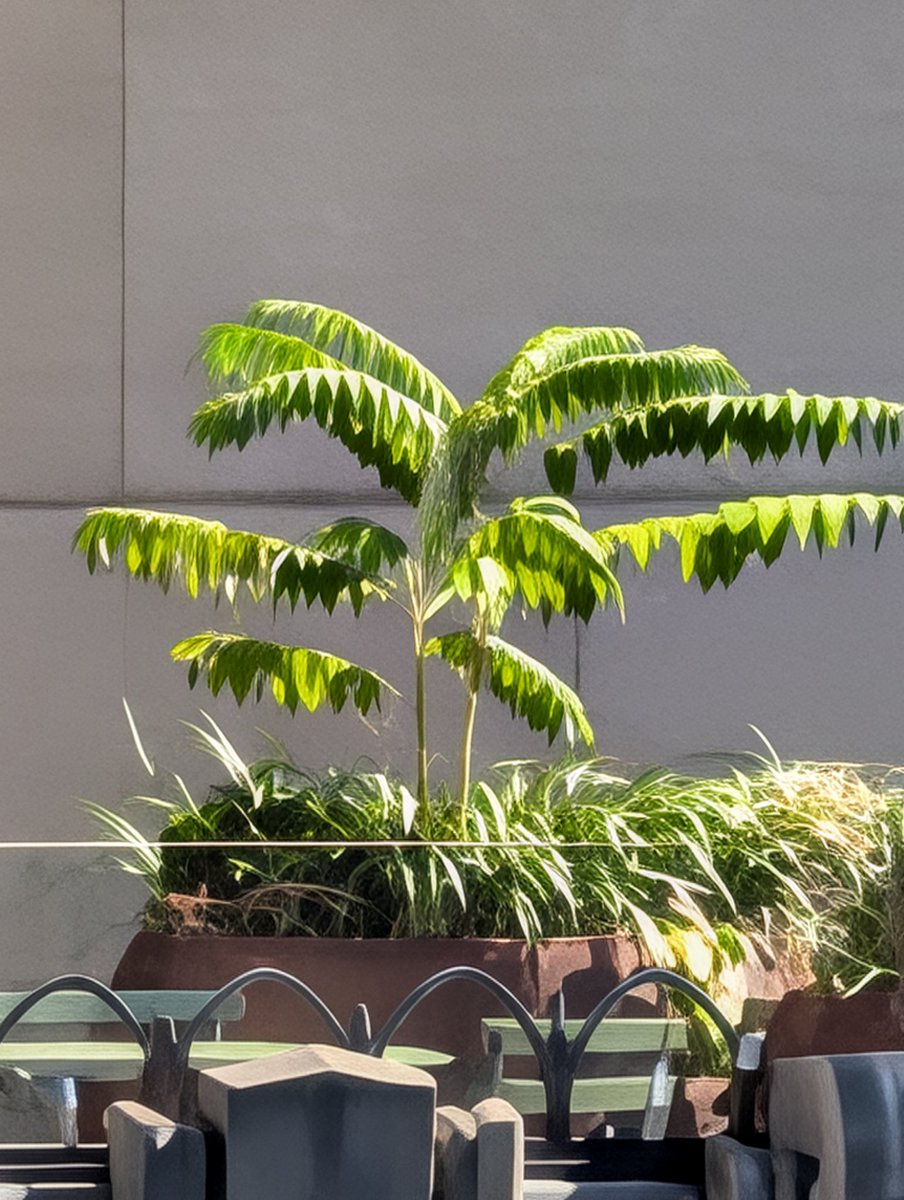 imparkerburton's tweet image. Pixel 10 Pro XL (left) vs S25 Ultra (right) at 100x zoom
