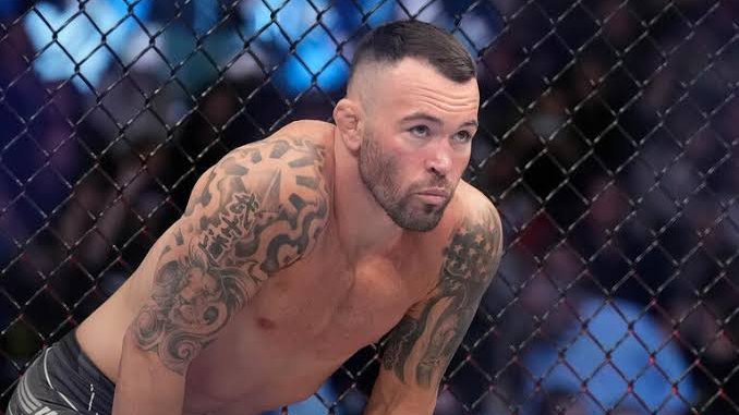 bazı ufc dövüşmeyicileri