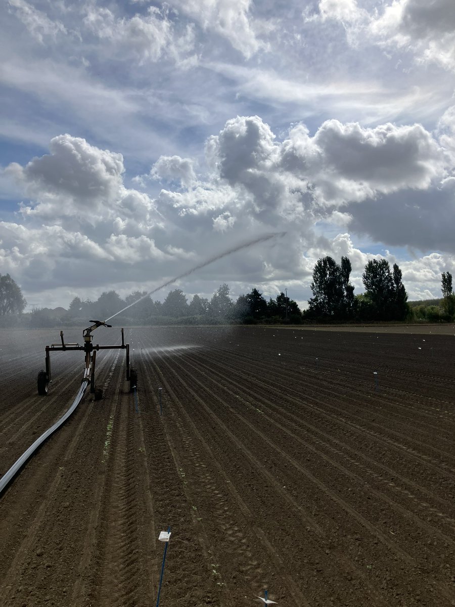 Qu’est ce qui faut pas faire pour faire lever des #betteraves  !  😳
Irrigation nécessaire pour notre pépinière <a href="/GroupeFDesprez/">Florimond Desprez</a>  enjeu porte-graines 2026 
Quand y’a pas d’eau, y’a des idées, des hommes 💪 et des équipements 👍  🙏ETA