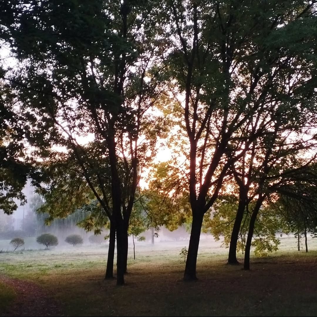 <a href="/yurkov_n/">nικήτας</a> Проблема в том что я фоткаю в основном не в формате обоев