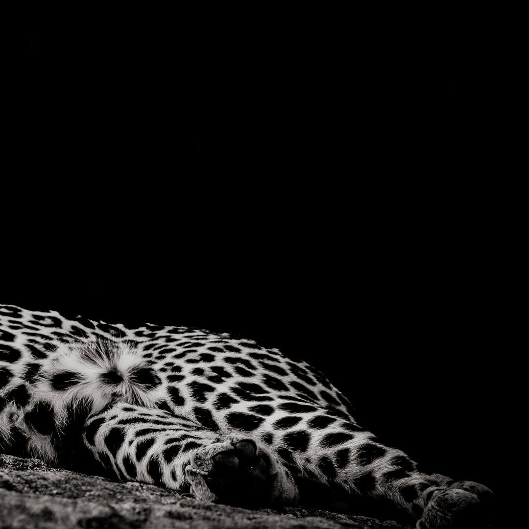 بحر 🌊 (@butterflless) on Twitter photo 