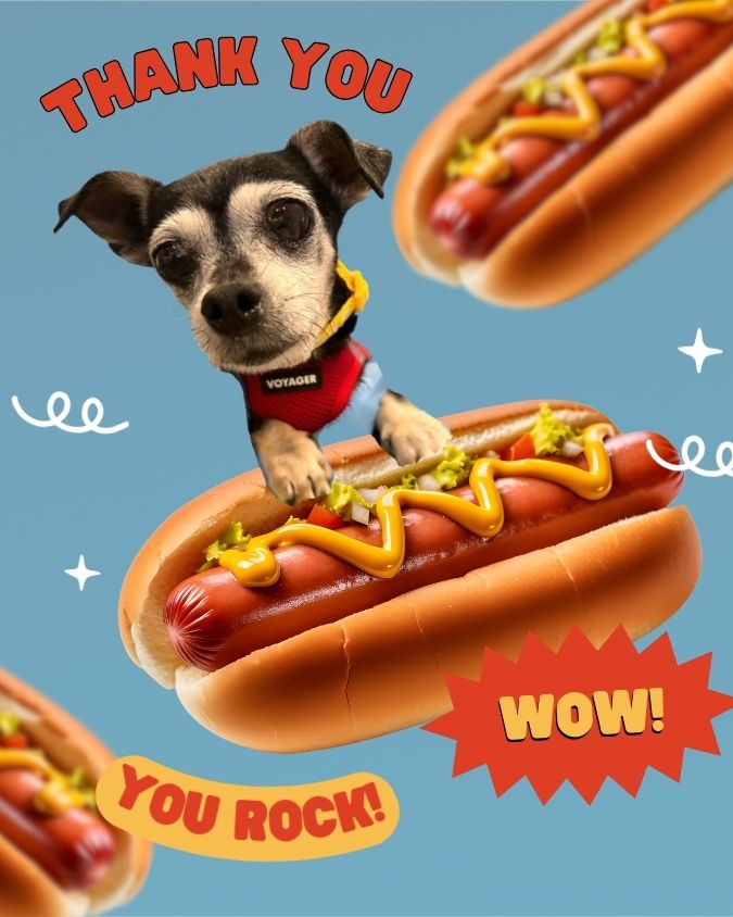 Thank you <a href="/pawthereum/">Pawthereum</a> @log_a_dog <a href="/endaomentdotorg/">Endaoment.org / Endaoment.eth 👉 FWBFest</a>!