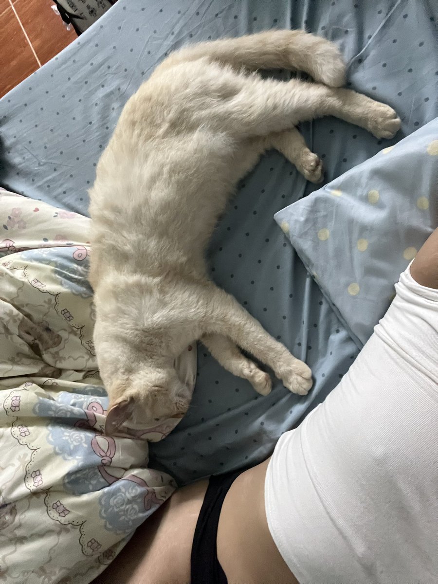 02_thesecond's tweet photo. ไปละ ขอตัวไปเลี้ยงเบบี๋ก่อน😽 https://t.co/22hyd8zyyF