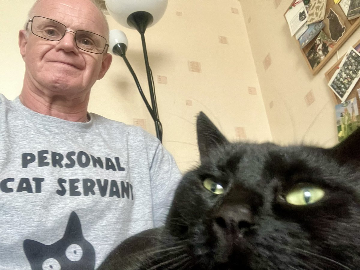 GremlC's tweet photo. The human has finally learned his place https://t.co/E71M53S9FG