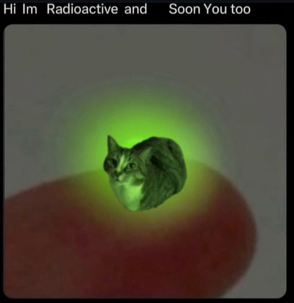 bean_and_chaton's tweet image. #cats #catmemes #CatsOfTwitter