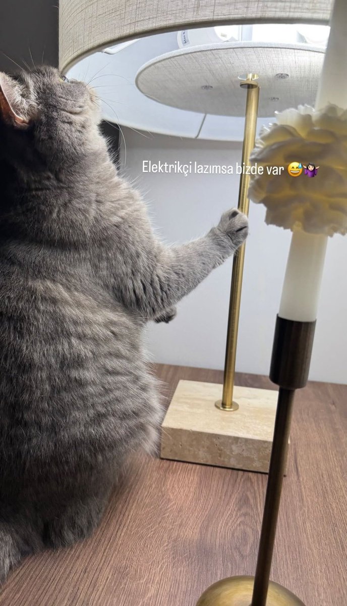 Usta lazımsa iletişim için müracaat dm :)
