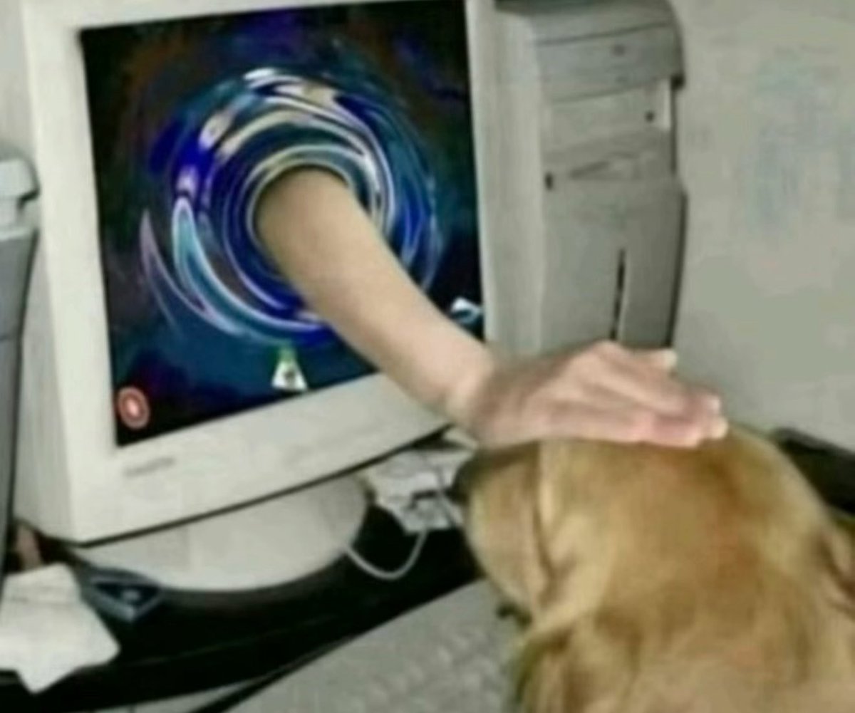 takemybear 🐶 tweet media