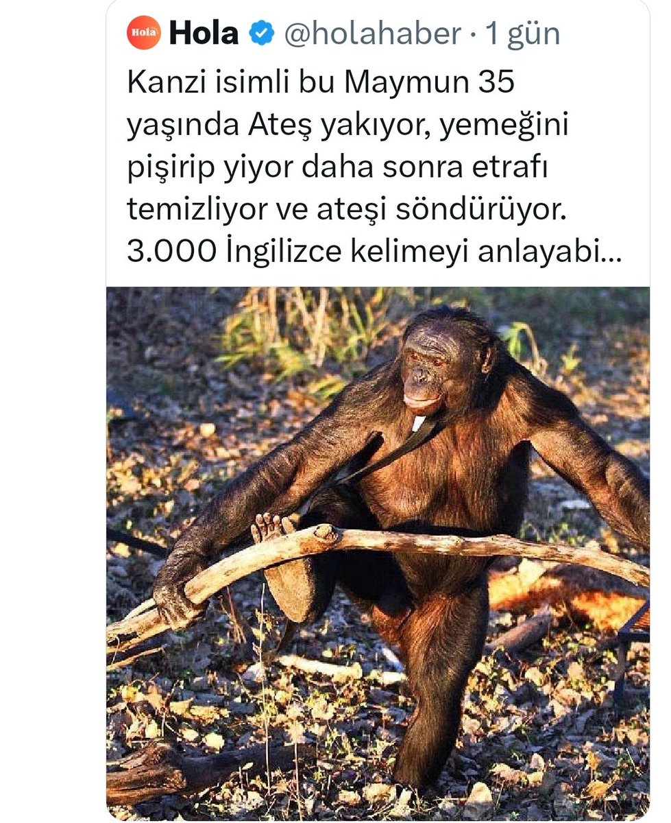 İngilizce ye gelene kadar başa baş gidiyorduk 😃
