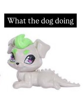 Maple˖ ݁𖥔 ݁˖They/He (@maplemhconfess) on Twitter photo 