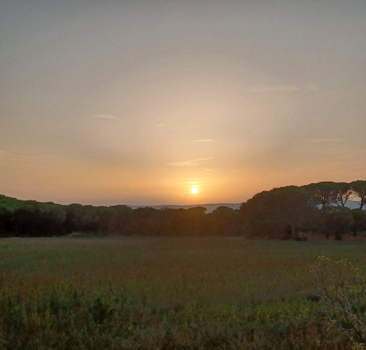 Marta (@golfet61) on Twitter photo 