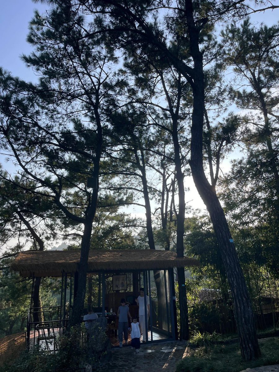 Emilia✨ tweet media