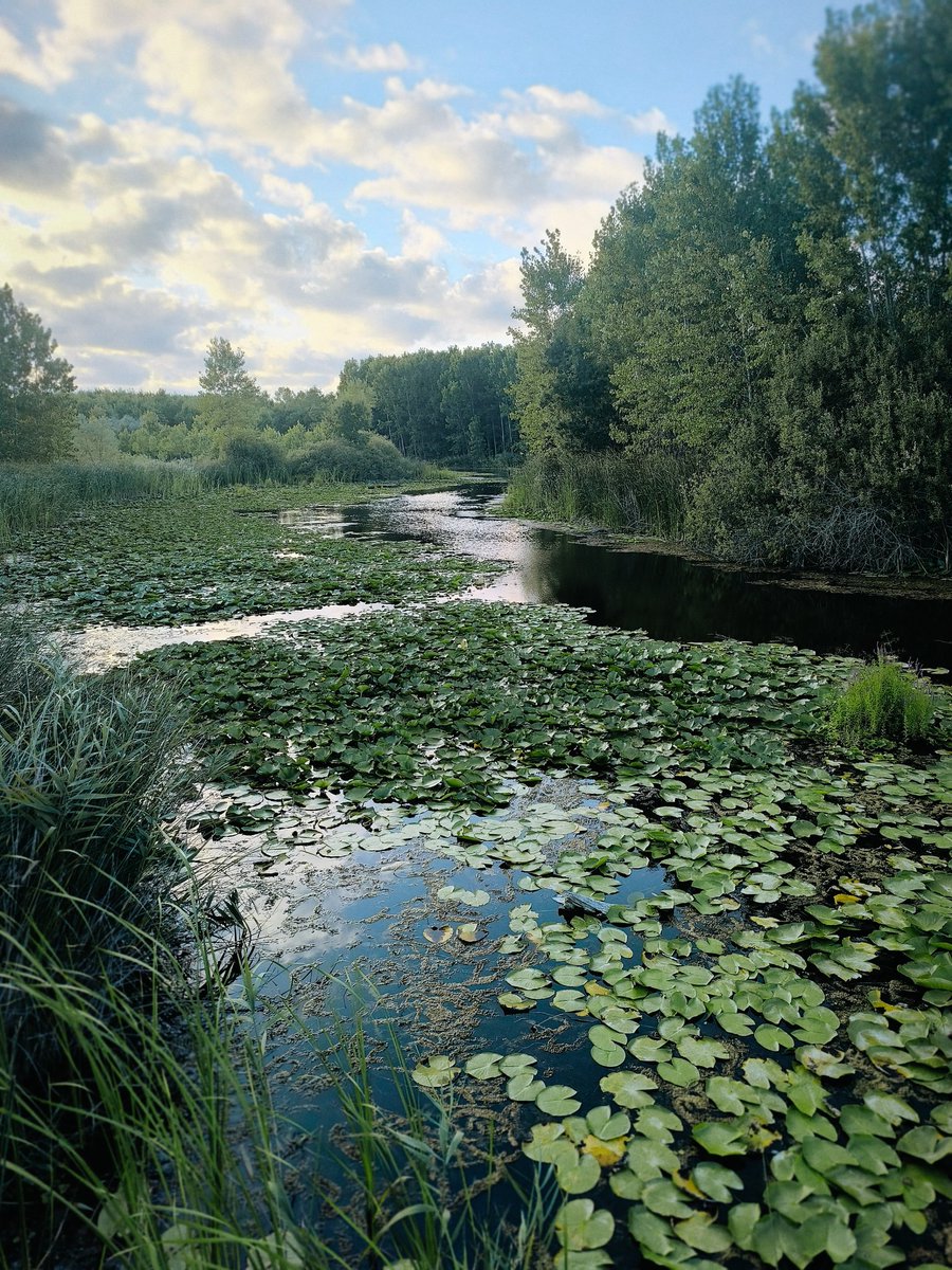 EST murat bakal (@muratbakal1) on Twitter photo 