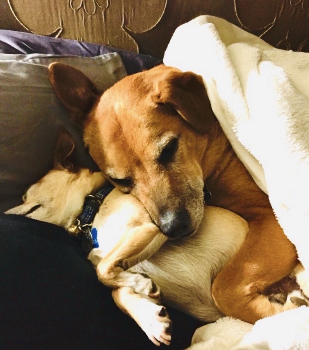 Nils Lofgren tweet media