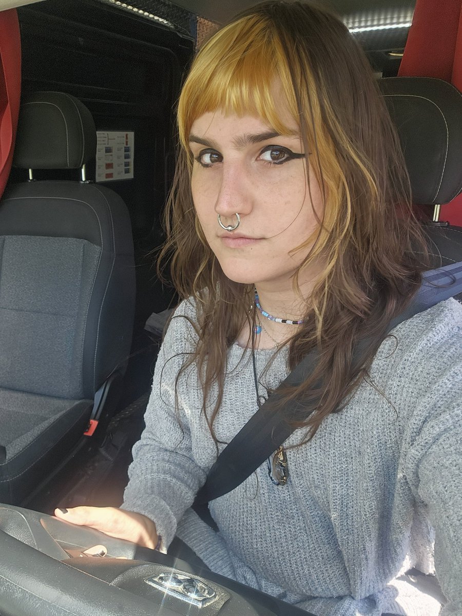 she's a 10 but she blew out the work van's speakers blasting Viagra Boys