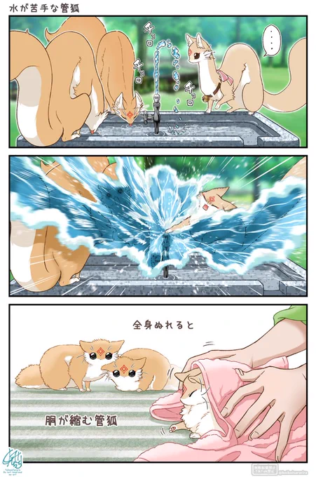 水が苦手な管狐 