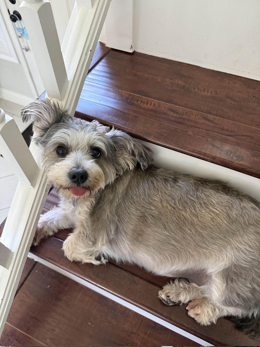 Job Jared tweet media