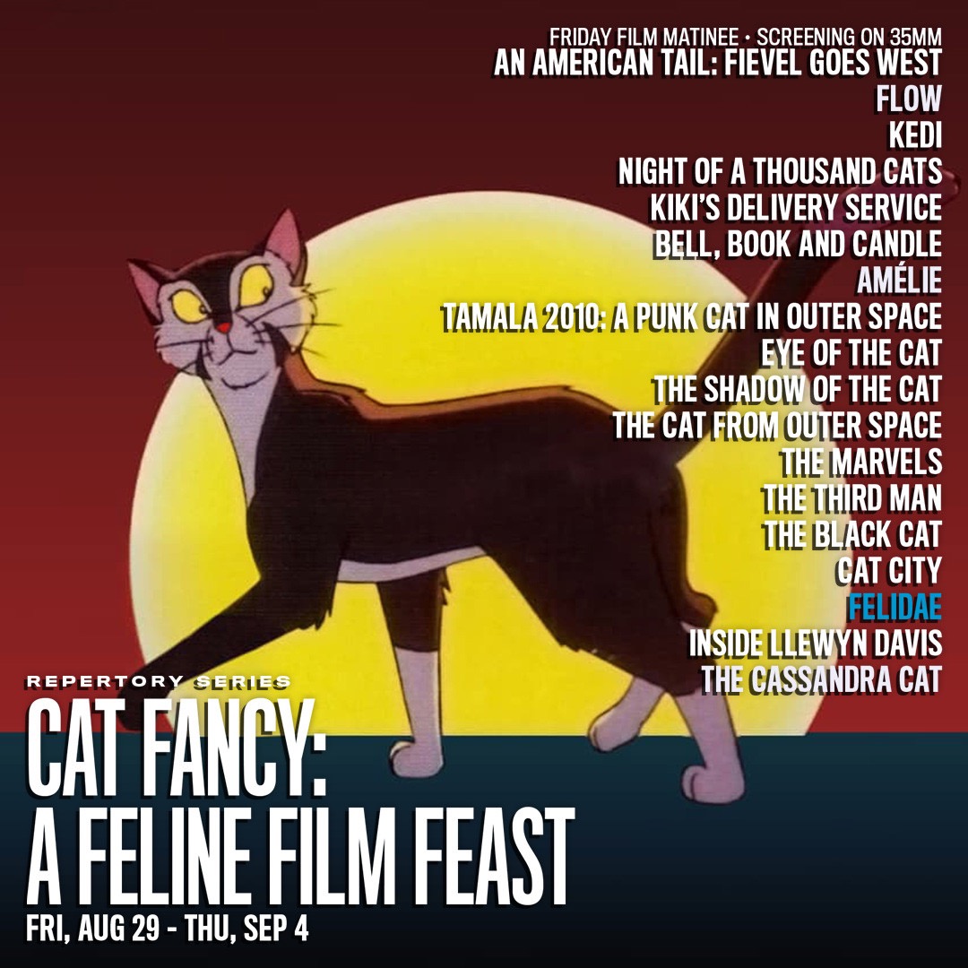 DeafCrocodile's tweet photo. We hope that any friends within roaming distance of Cambridge, Mass are able to make it out to the @brattletheatre over the next week! We wish we could attend in person to celebrate #CatFancy: A Feline Film Fest!
Three films from our catalog will be playing alongside a genuinely incredible lineup of cat cinema!
https://t.co/GPFyDW5HUk
#Cats #CatMovies #Tamala2010 #CatCity #Felidae #BrattleTheater #FelineGood #DeafCrocodile