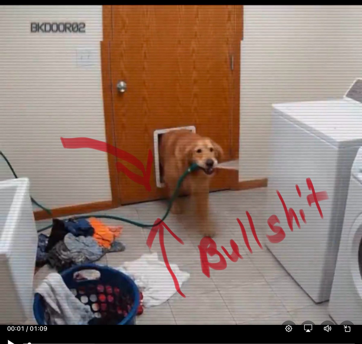 Cosmic Stanza tweet media