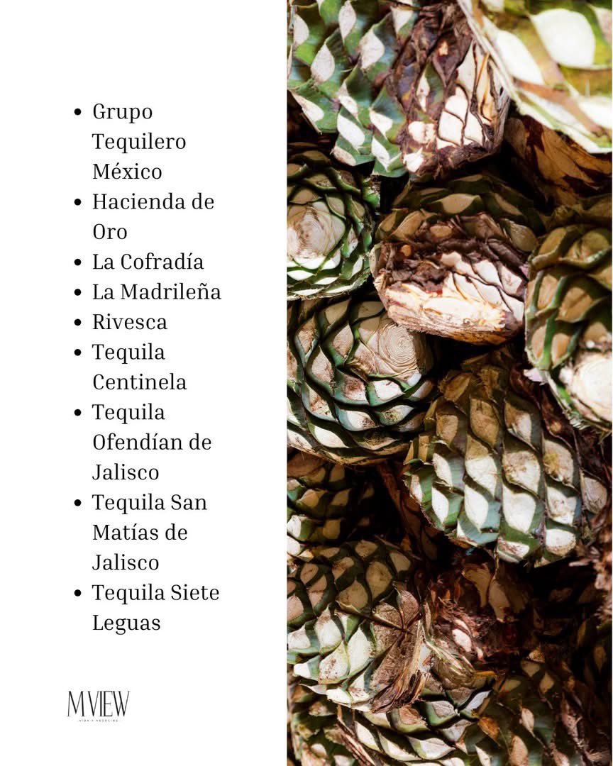 Buenas noticias para el tequila mexicano. 

La Secretaría de Economía y el Consejo Regulador del Tequila entregaron la certificación Hecho en México a 16 compañías, avalando así la autenticidad de sus marcas. 

👉: mview.com.mx/16-tequileras-…

#Tequila #HechoEnMéxico
