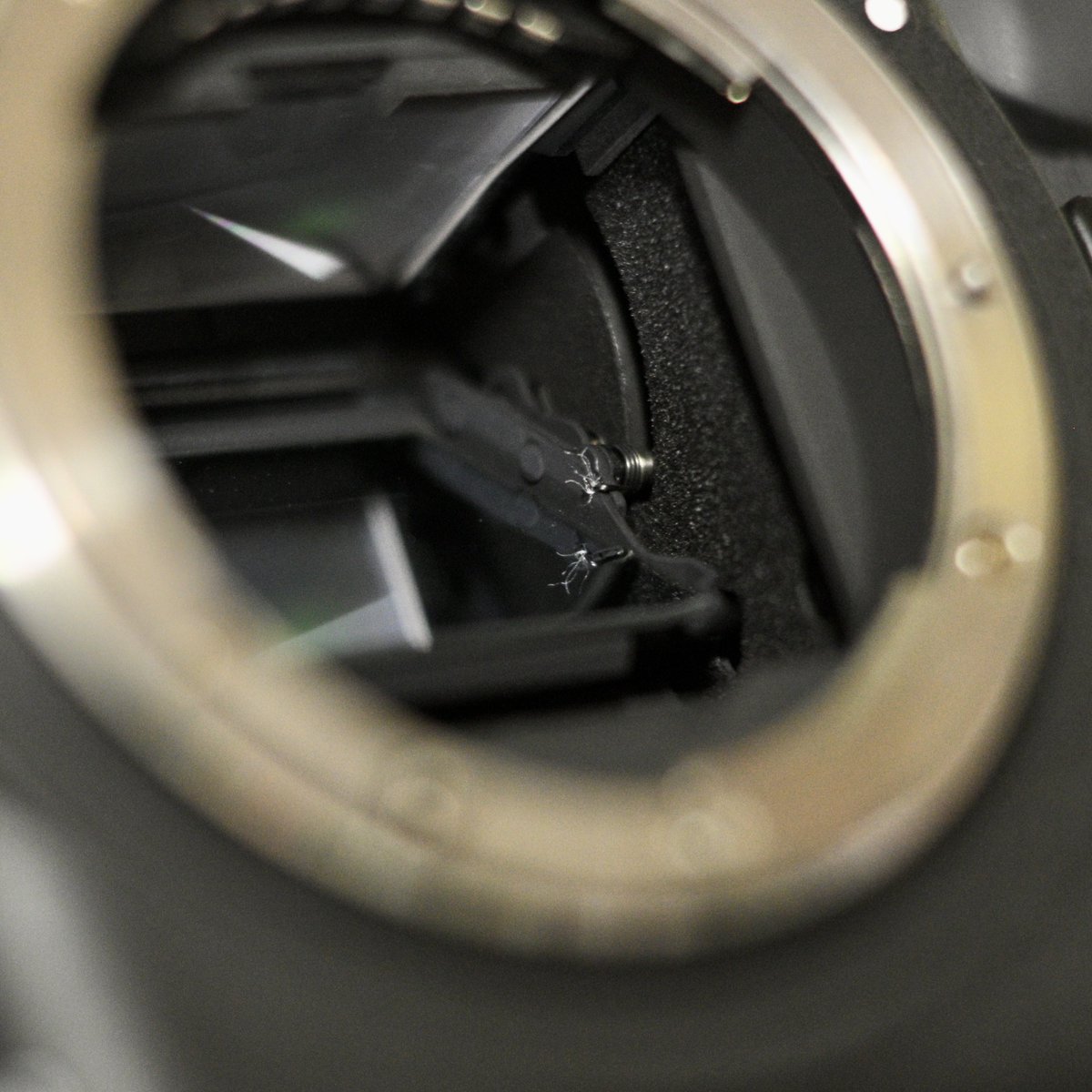 一眼レフのシャッターユニットに詳しい方…いらっしゃいますか？
この金属の糸は一体何でしょうか…
問題無くシャッターは切れます。
コレをピンセットで慎重に引っ張るとミラーアップします💦