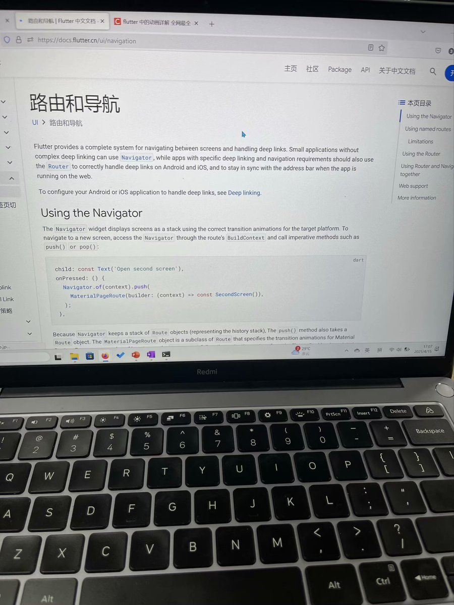 Flutter的中文文档翻译工作仍有不足。以致于部分中文文档只有标题是中文的。