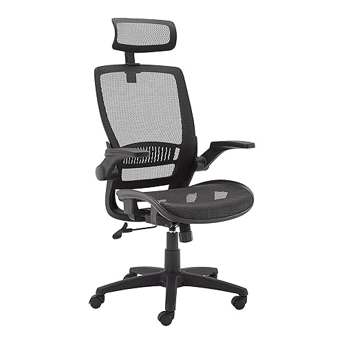An item on my Throne wishlist just got fully funded: Amazon Basics Ergonomic High-Back Desk Chair, Comfortable Flip-Up Armrests, Contoured Mesh Seat, Swivel, Black, 25.5"D x 26.25"W x 49.25"H - Black. Thank you! throne.com/torifloop #Wishlist #Throne