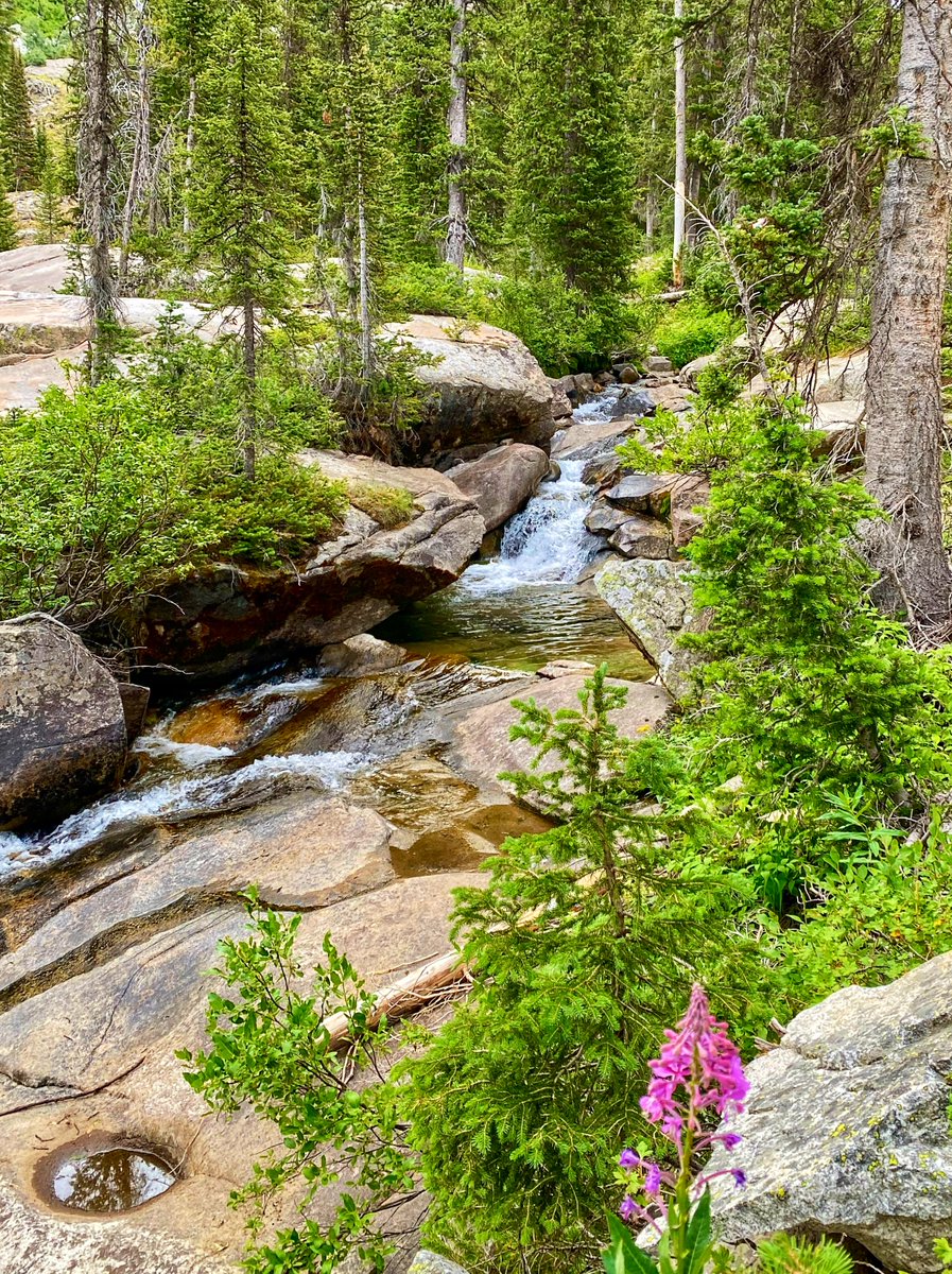 We must not forget a wonderful Waterfall Wednesday!  🏞️