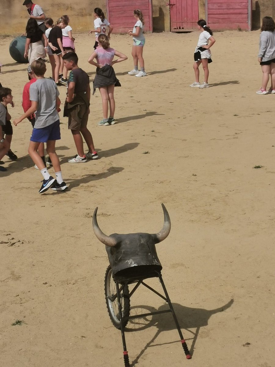 JeanRostandGers's tweet image. Retour en images des 1ers jours d&apos;école ouverte à destination des futurs 6eme du @JeanRostandGers :matinée de révision et après midi ludiques (bubble foot et visite d&apos;une ganaderia) @dsden_32 @actoulouse #semainedimmersion #futurs6emes #ecoleapprenante