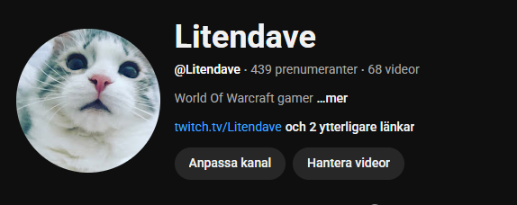 Litendave tweet media