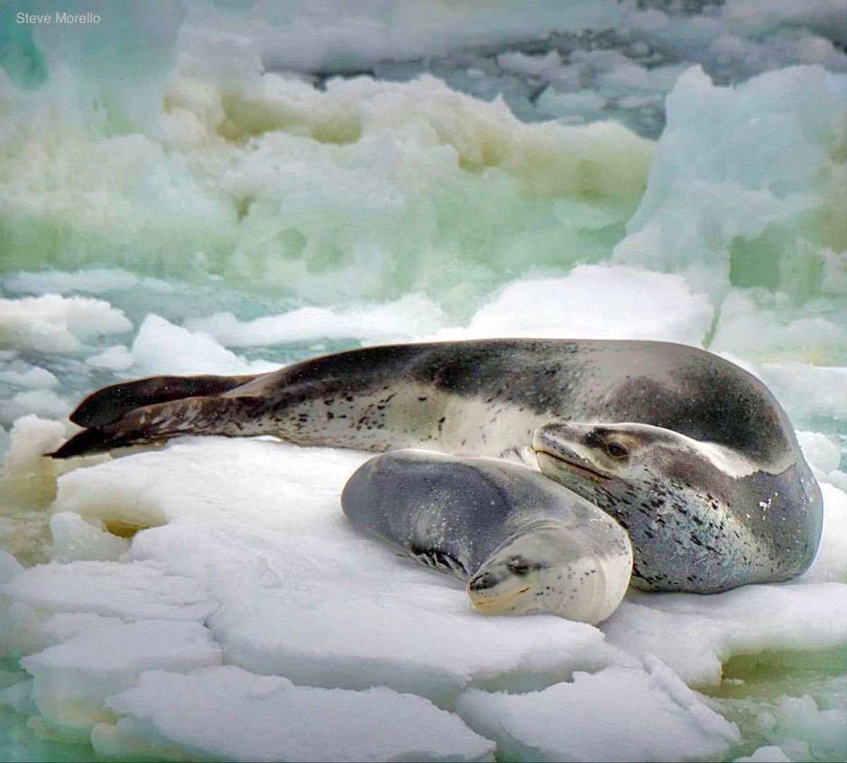 Let's be worms with mama