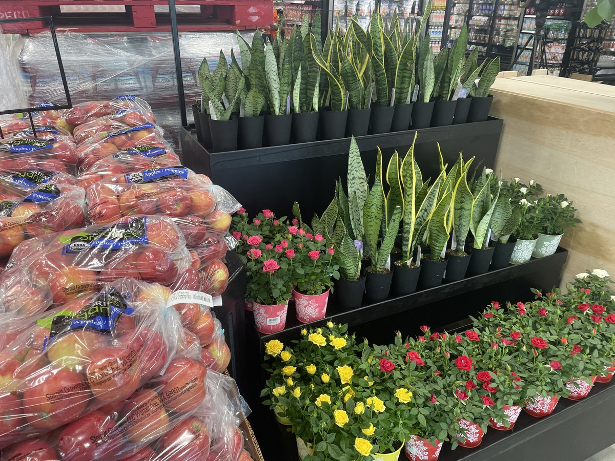 Opening Thursday MILFORD PLAZA  GroceryOutlet Bargain Market replacing the Giant after years of being vacant <a href="/WMAR2News/">WMAR-2 News</a>