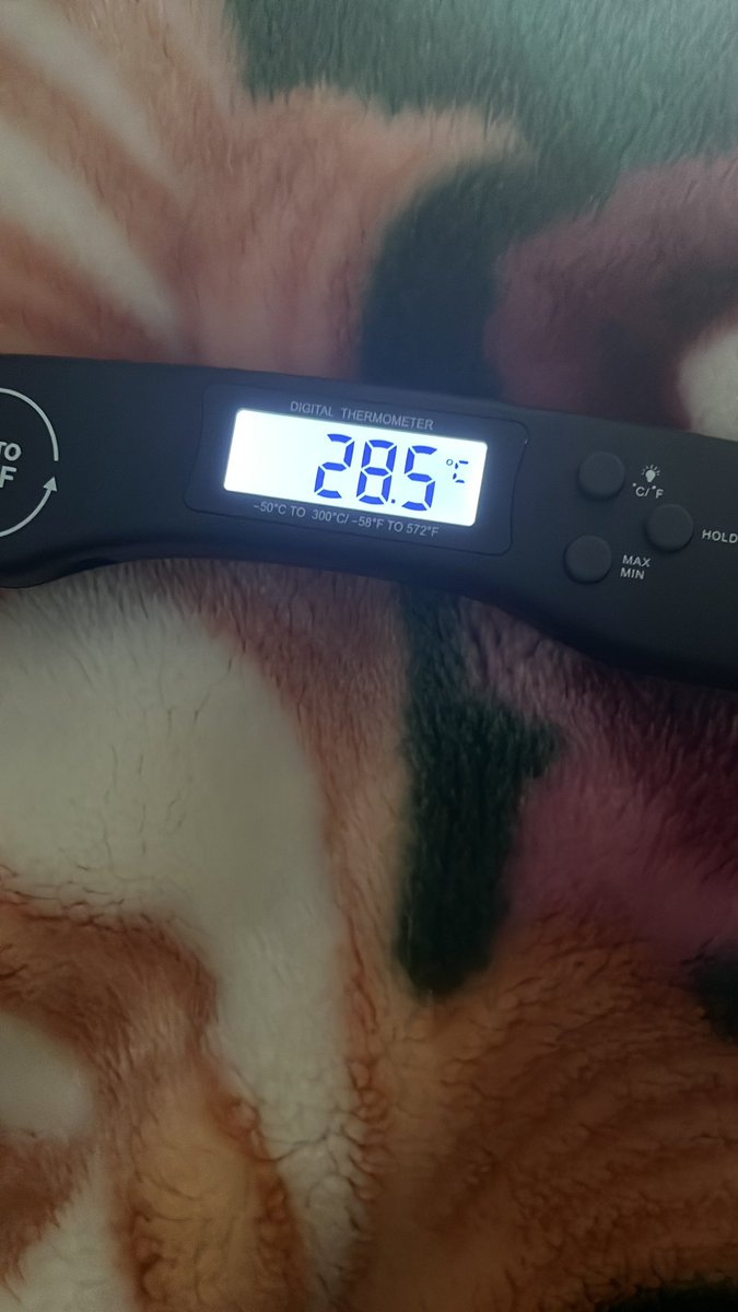 Didn’t bring a fan to school because last year my room for the most part was literally 9-12°c and now im having the opposite problem