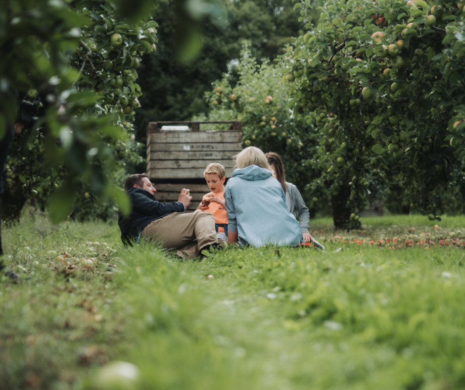 Visit Armagh tweet media