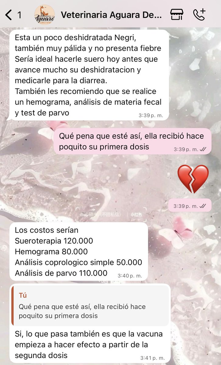 Necesitamos juntar 360.000 gs para Pulgui, por favor!! 😭🙏🏻 si 18 personas aportan 20.000 gs llegamos a la meta. 
Ayúdennos!! Estamos destrozadas 💔
ORTIZ RODAS ADRIANA JAZMIN
Banco Familiar 
ALIAS CI 5639606 
N° de cuenta 81704569