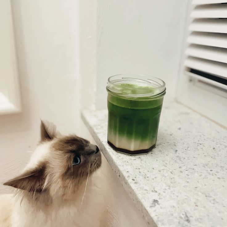aarc2ii's tweet image. Day 4 of coding.. I just need a Kiwi Matcha to save me from this mess