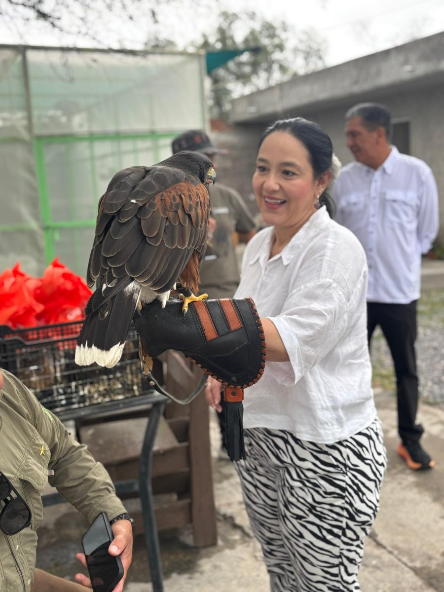 tuve la oportunidad de visitar el refugio “Qué Onda Rapaz”, un espacio dedicado al cuidado, protección y bienestar de aves rapaces e insectos. 🦅🦋

Mi reconocimiento a quienes, con gran compromiso y vocación, trabajan todos los días para preservar nuestra fauna. 🌿