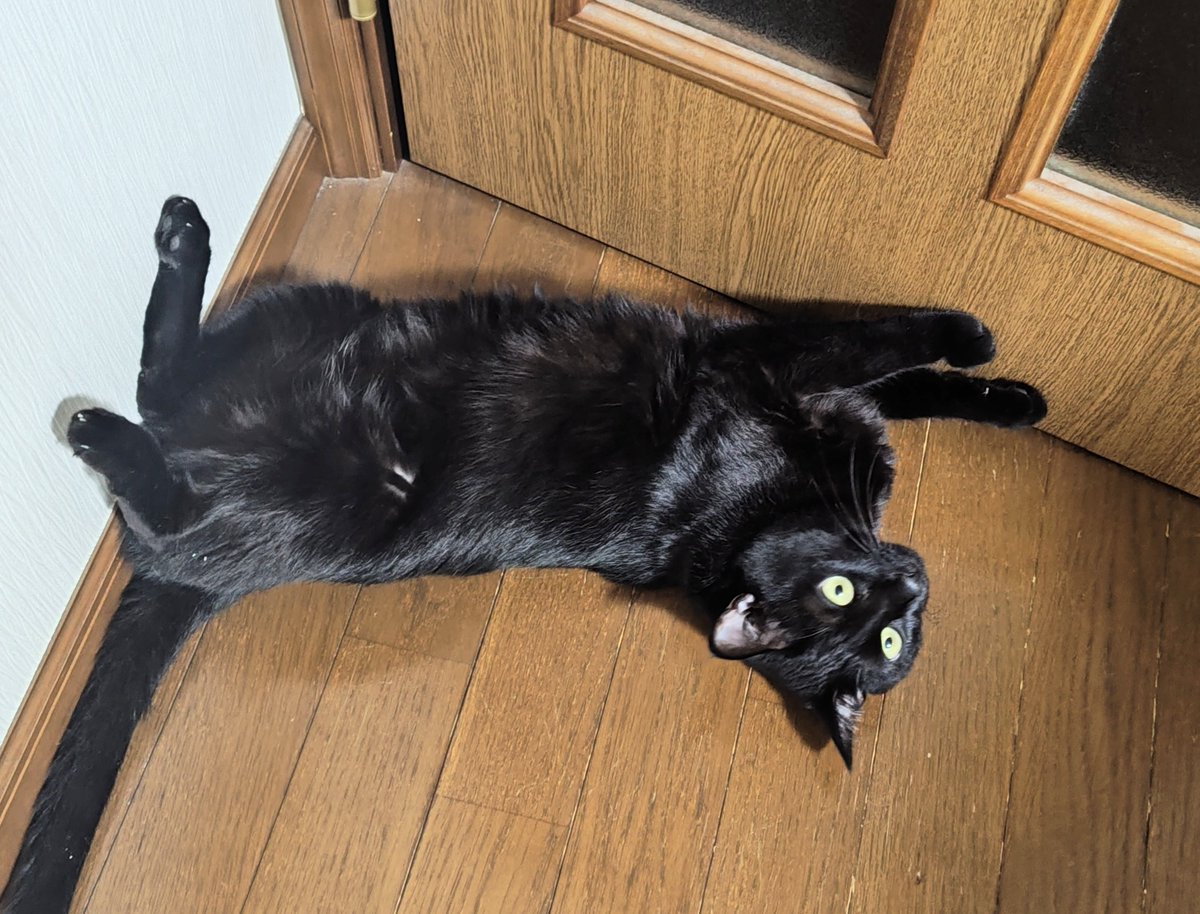 黒猫@タカシ on X: 