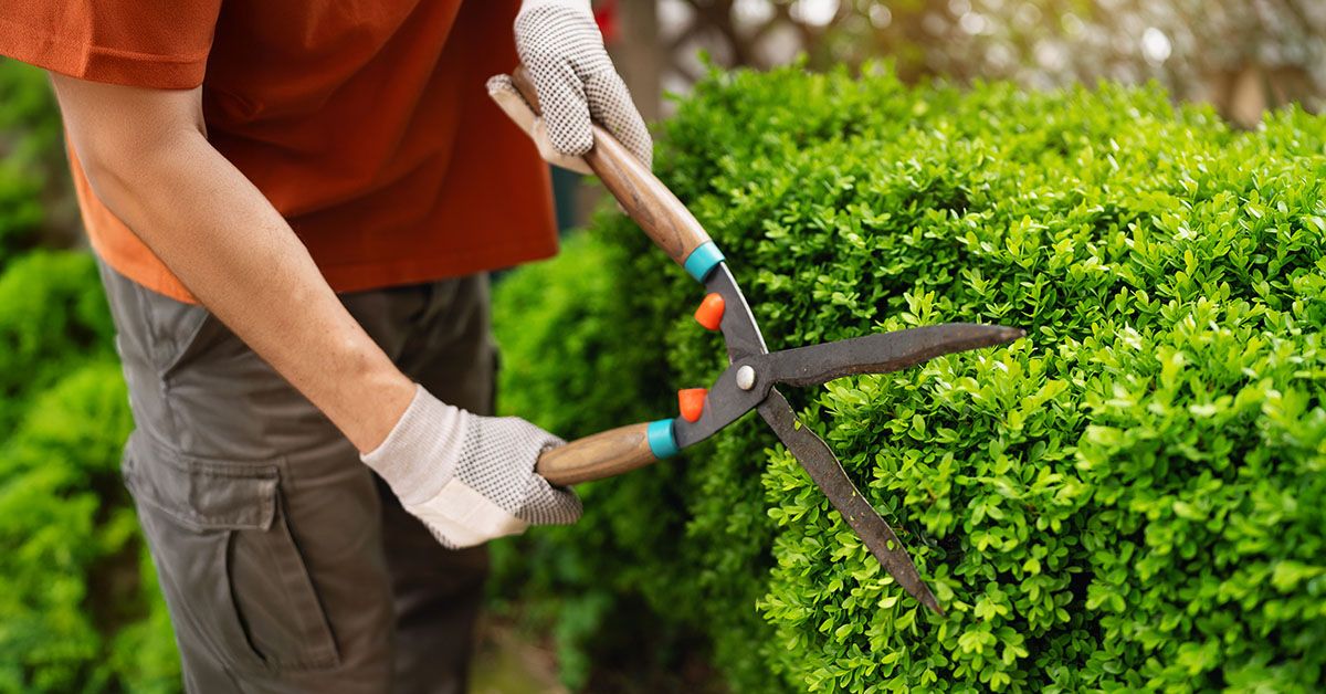 ConvergenceMS's tweet image. Should you expect a Fed rate cut in September? Markets see high odds, but our Chief Investment Officer is more cautious. Here&apos;s why: livesocial.seismic.com/tfAY-o