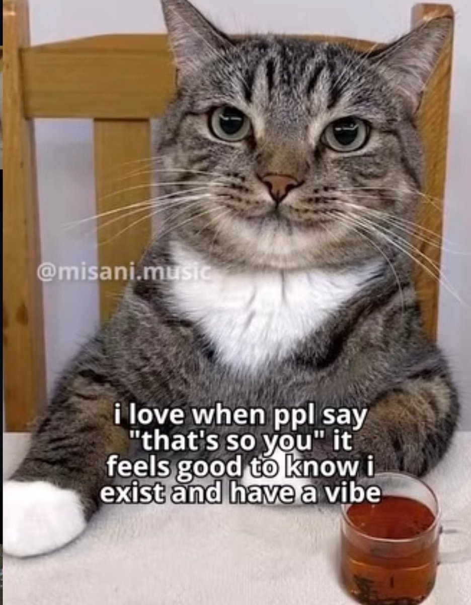 literallymecats's tweet image. 