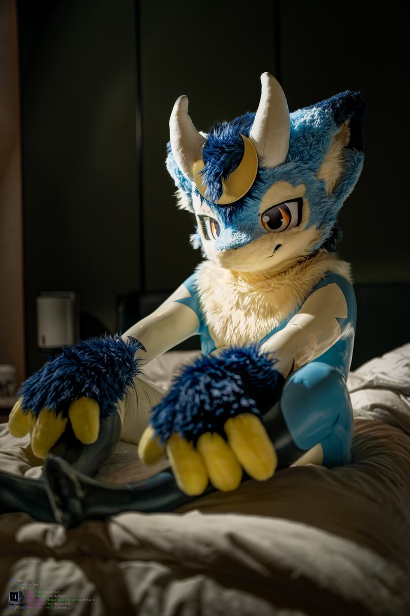 闪闪发光的龙神大人