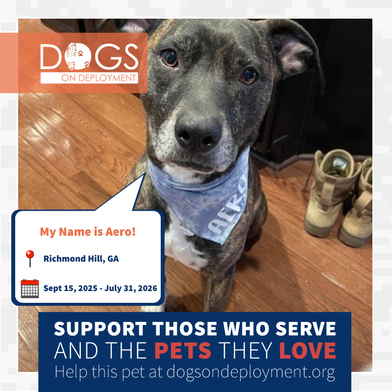 DogsonDeploymnt's tweet photo. These pets need DoD Boarders!
Aero & Creme: https://t.co/pnrGC0MWIw
Joy & Moonee: https://t.co/rLGlQUM11n
Grimm, Hallow & Tober: https://t.co/IReks4EDT0
(Must be registered as a DoD Boarder & logged on to view all info)
#DogsonDeployment #DoDMission https://t.co/aPoFne8OvE