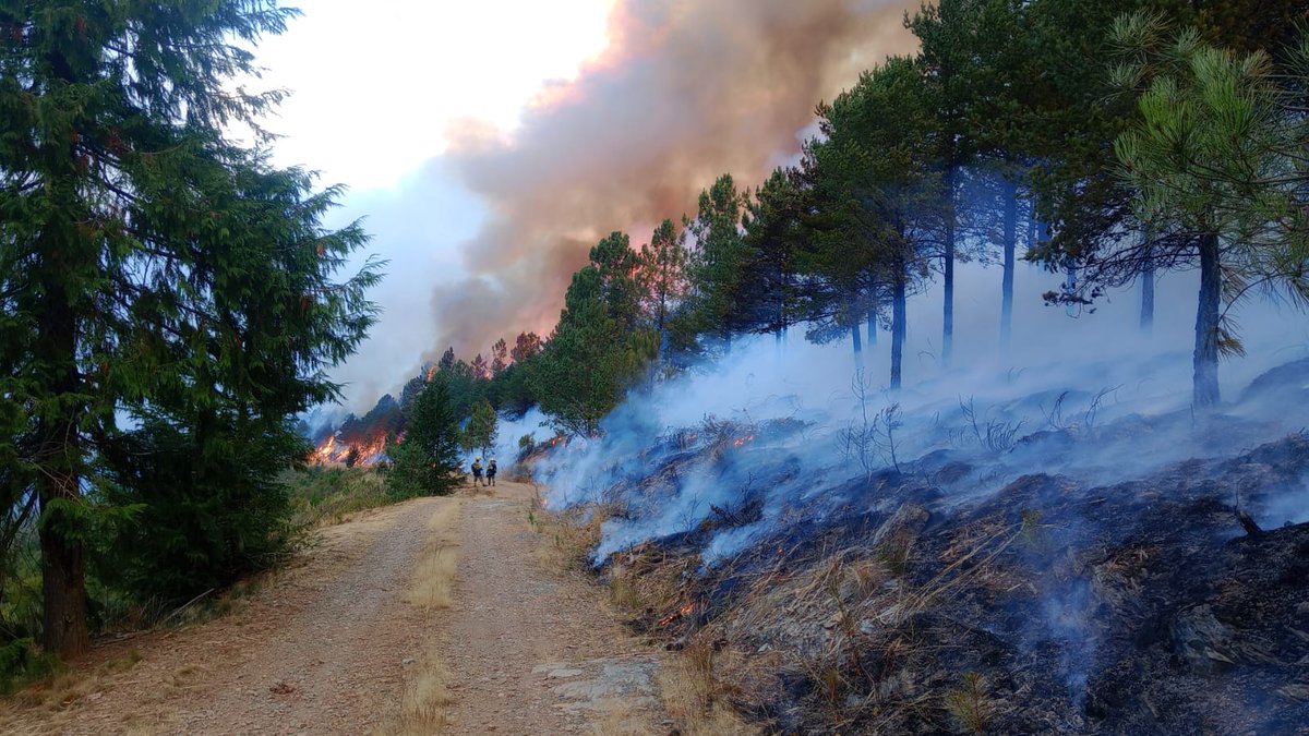 20:30📸#IFIbias #Asturias 

Así es como se ha desarrollado el contrafuego con éxito realizado por <a href="/BrifTineo/">BRIF de Tineo</a> + <a href="/BRIF_Ruente/">BRIF Ruente</a> + <a href="/UMEgob/">UME</a> para frenar el avance de la cabeza y flanco derecho de este incendio.