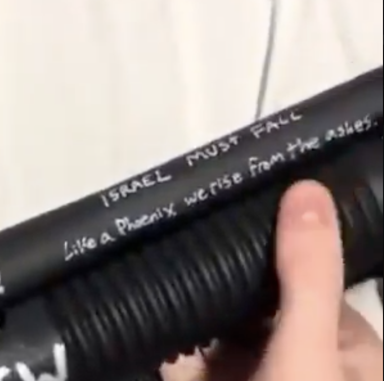 Naziri's tweet image. So this little Pro-Hamas, Antisemitic, Anti-Black, Anti-Latino piece of suburban shit seems to think of himself as part of the "we" that would rise from the ashes of Israel. Curious, isn't it? Also, with the ma sha Allah of course.