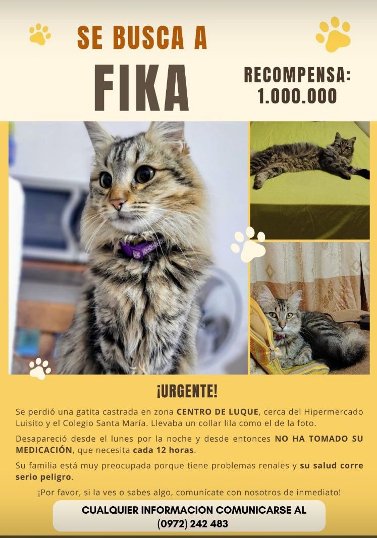 Buscamos a Frika RT 👇🏻